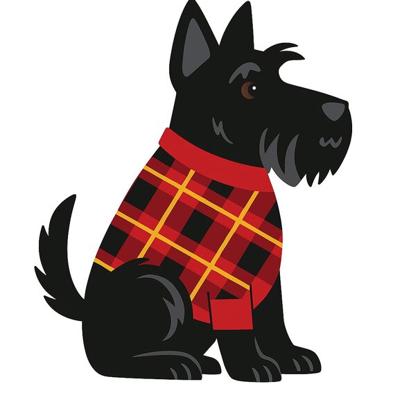 RADLEY LONDON Duke's Place Black Pebbled Leather Med. Compart Crossbody Bag 🐶🏴 - Picture 15 of 15